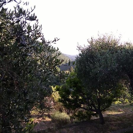 la porta del sole appartamento nell'oliveto Seborga Esterno foto