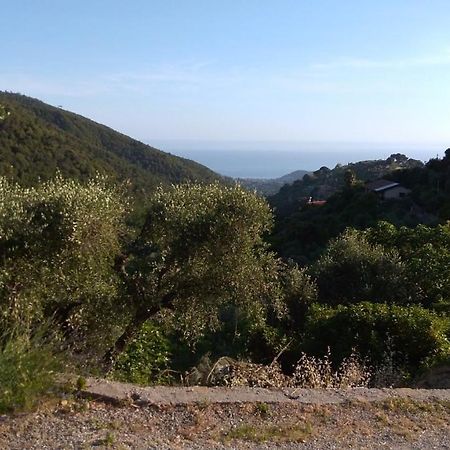 la porta del sole appartamento nell'oliveto Seborga Esterno foto