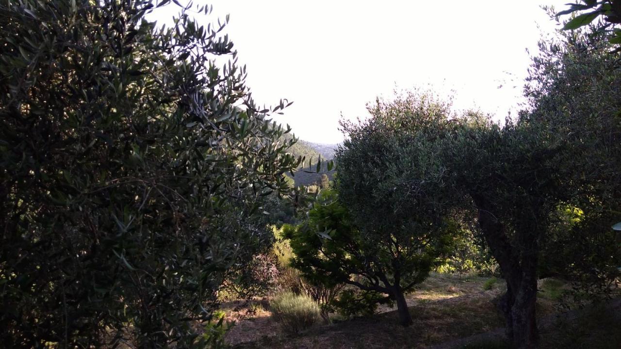 la porta del sole appartamento nell'oliveto Seborga Esterno foto